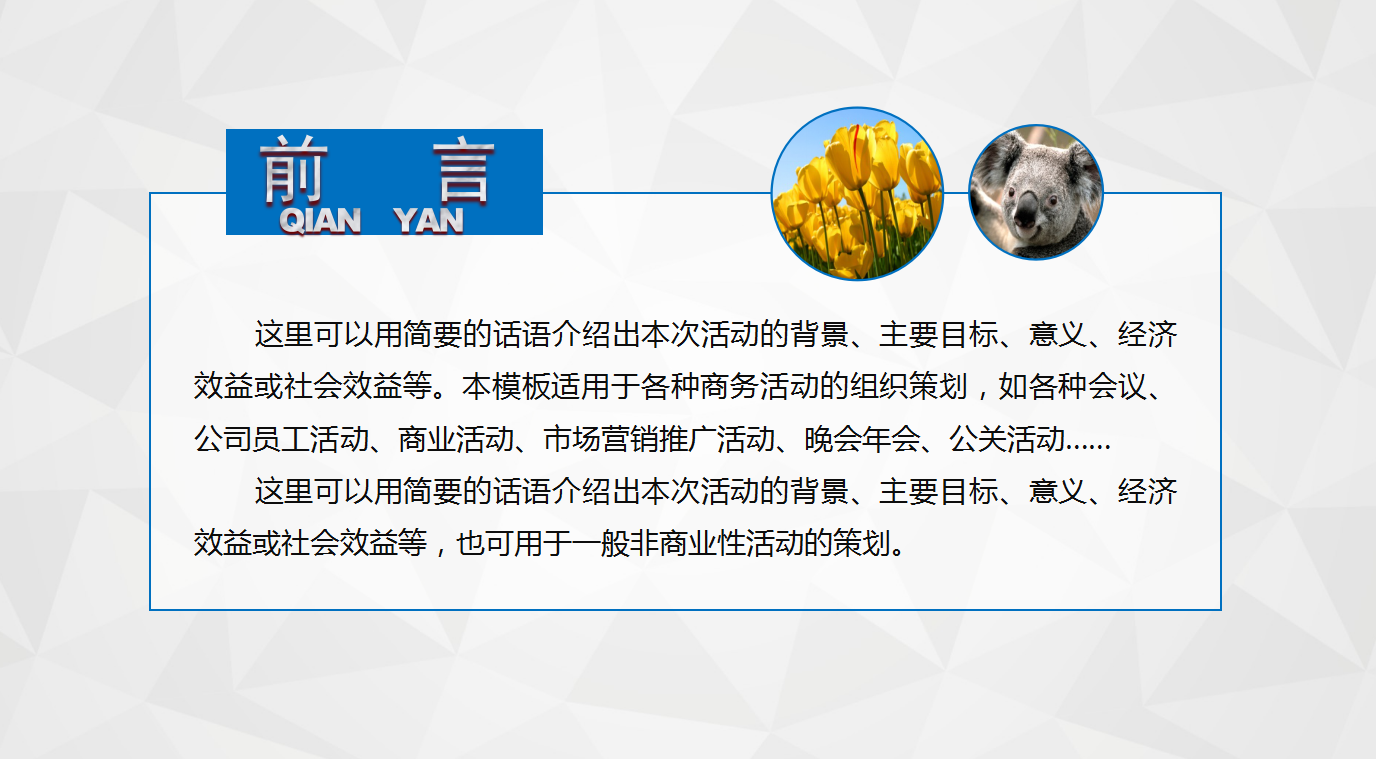 彩色微粒体简约精美活动策划动态PPT模板