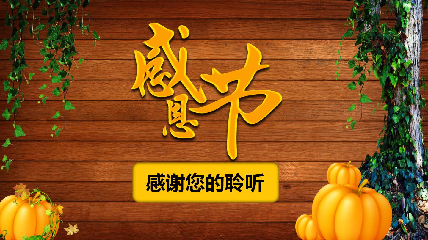 精美卡通简洁感恩节活动策划ppt模板