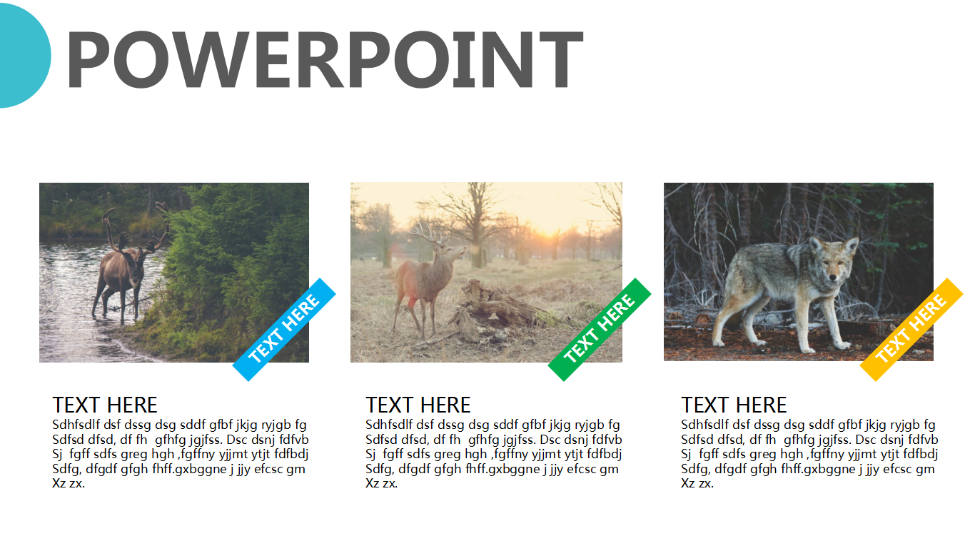 小清新彩色圆圈简约通用ppt模板