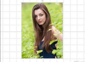 PPT如何羽化图片