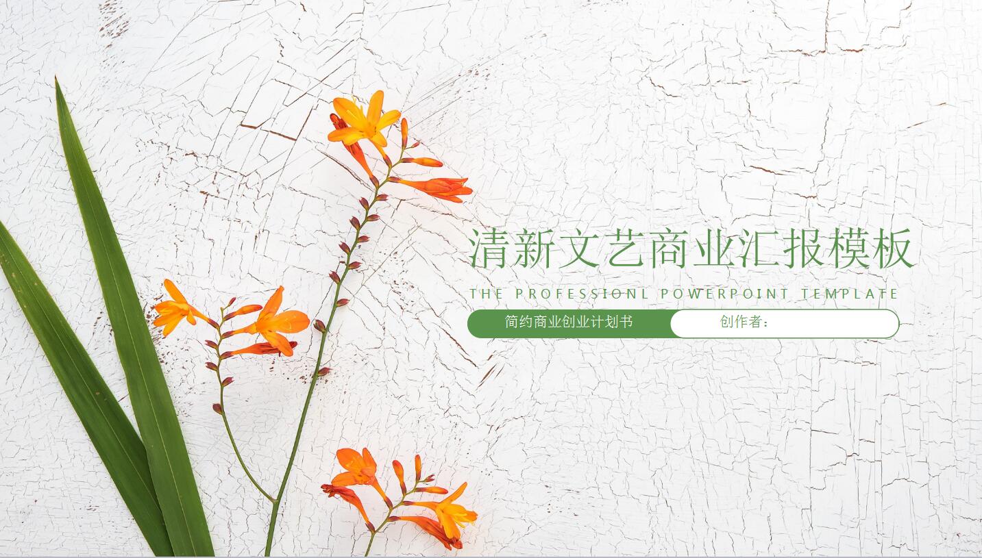 清新文艺创业计划书项目展示ppt模板