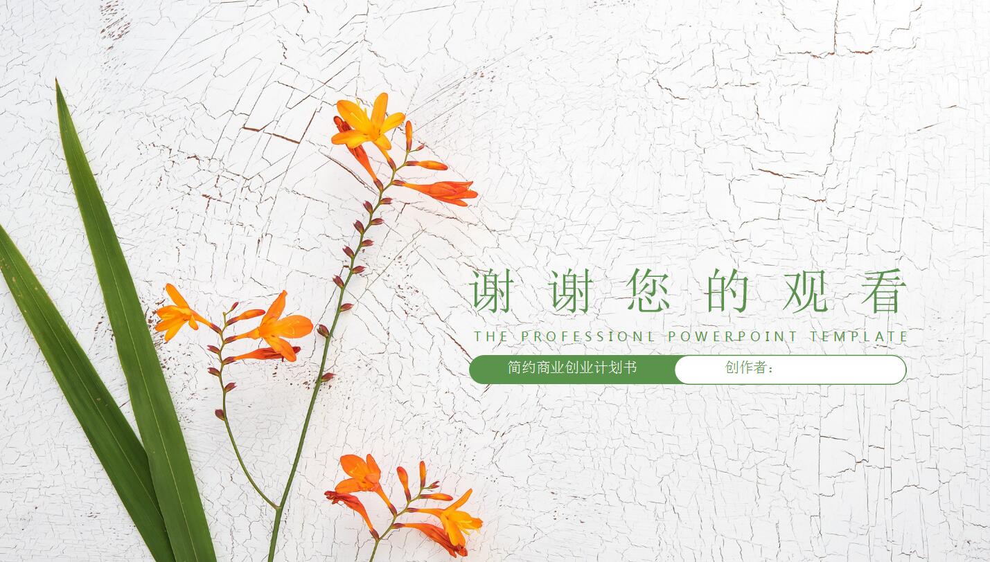 清新文艺创业计划书项目展示ppt模板