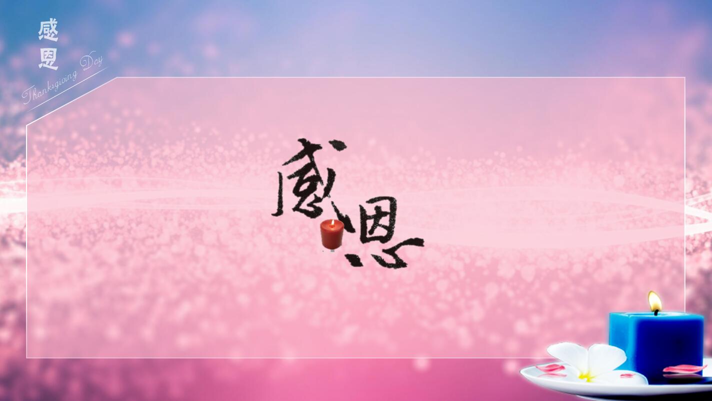 粉色精美感恩节活动策划主题班会ppt模板