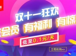 PPT家园与你共度双十一，充会员有惊喜！