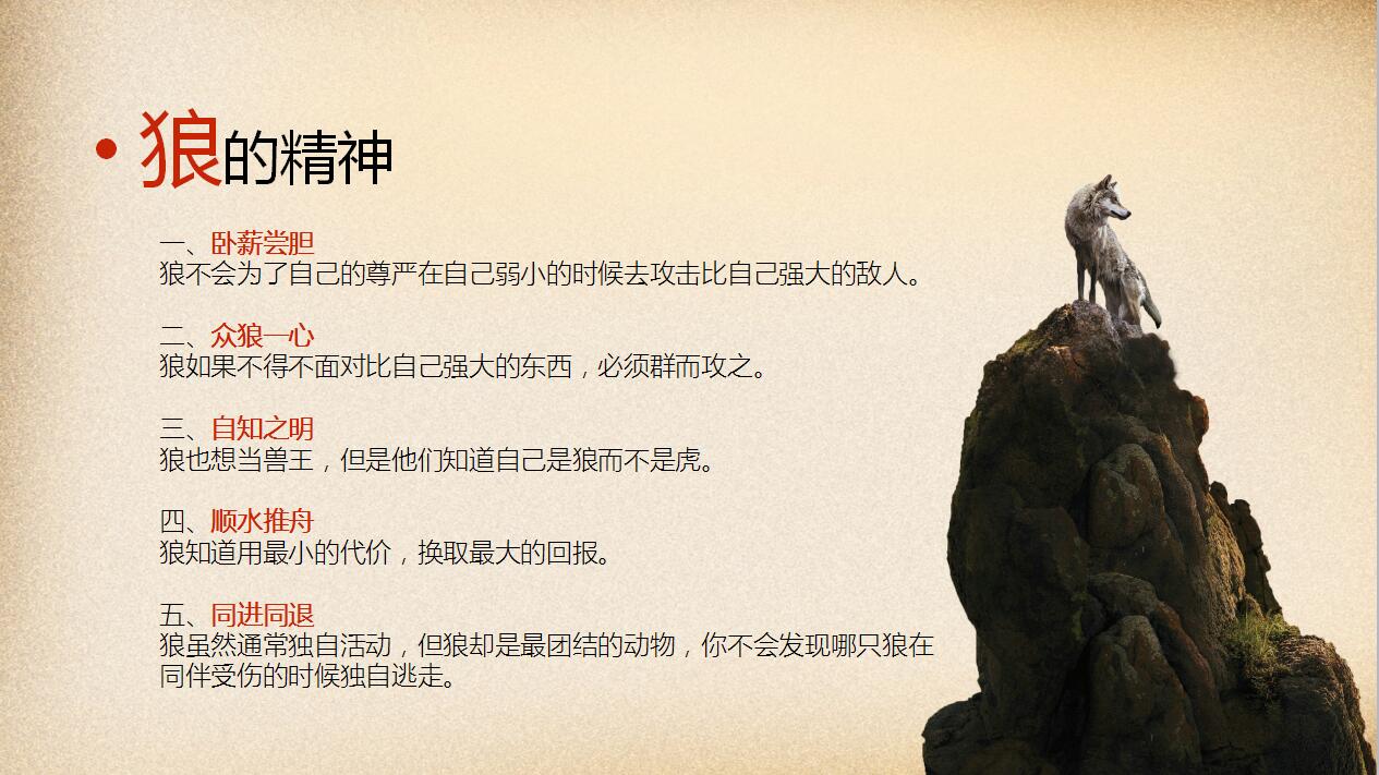 简洁狼性团队企业文化建设宣传ppt模板