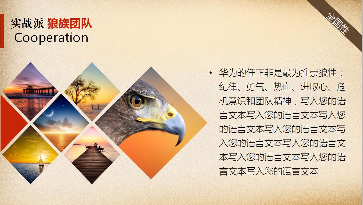 简洁狼性团队企业文化建设宣传ppt模板