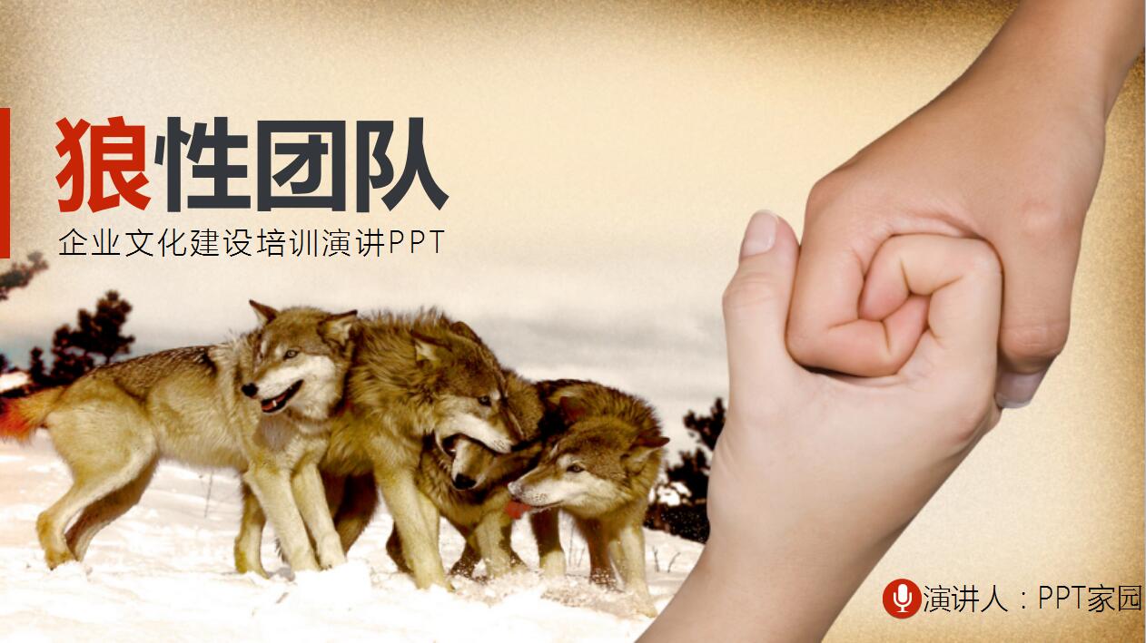 简洁狼性团队企业文化建设宣传ppt模板