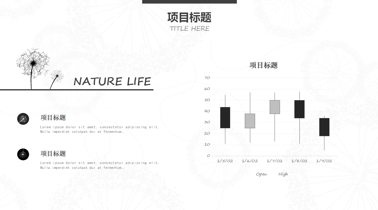 清新文艺白色简约毕业论文ppt模板
