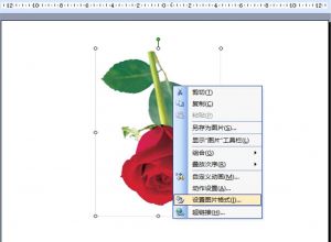 PPT如何调整图片的角度