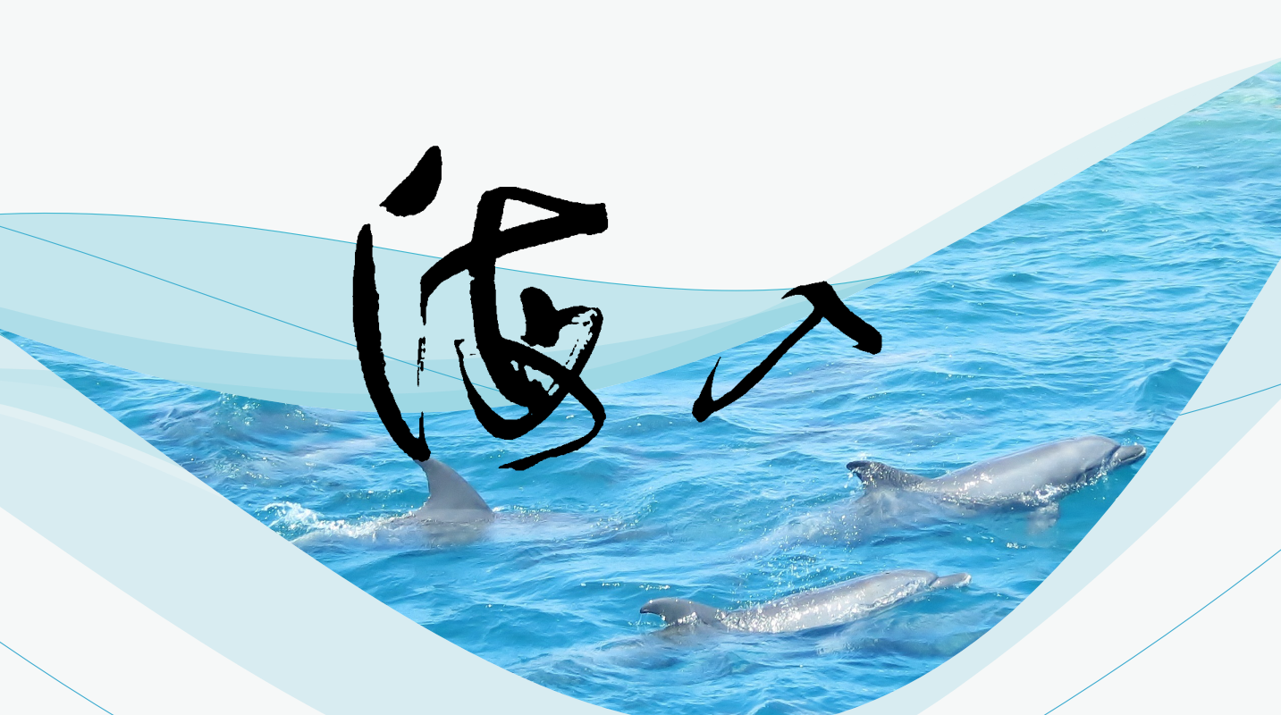 清爽白色唯美海洋商业计划书ppt模板