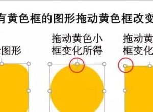 PPT如何设计变体动画原理分析