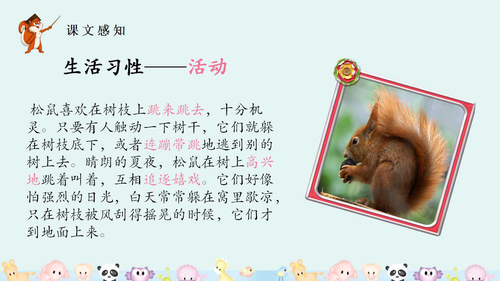 小学人教版语文五年级松鼠ppt课件