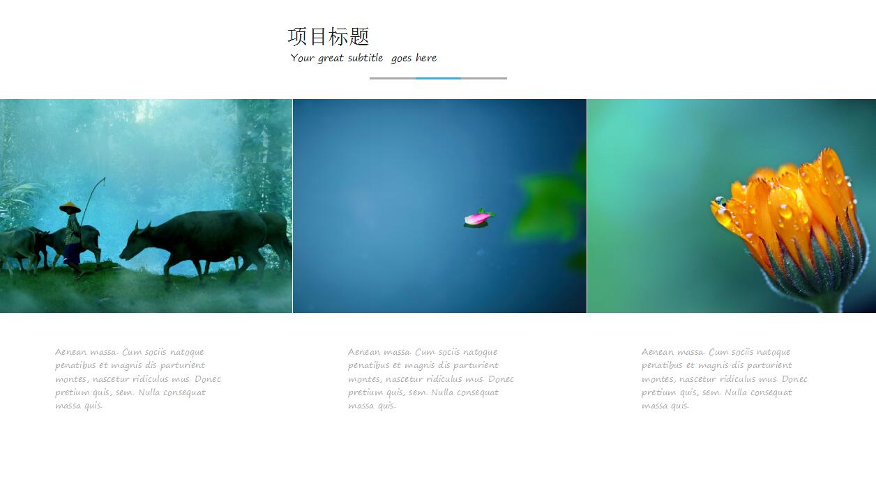 清新蓝色淡雅项目展示简洁ppt模板