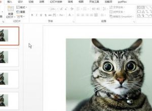 如何将图片应用于所有的PPT页面