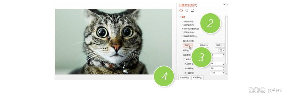 PPT制作技巧：如何将图片应用所有的PPT页面？