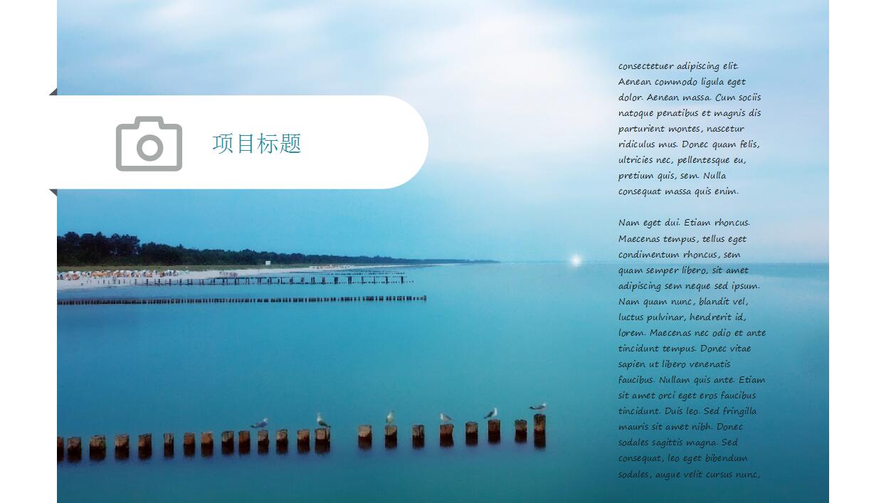 清新蓝色淡雅项目展示简洁ppt模板