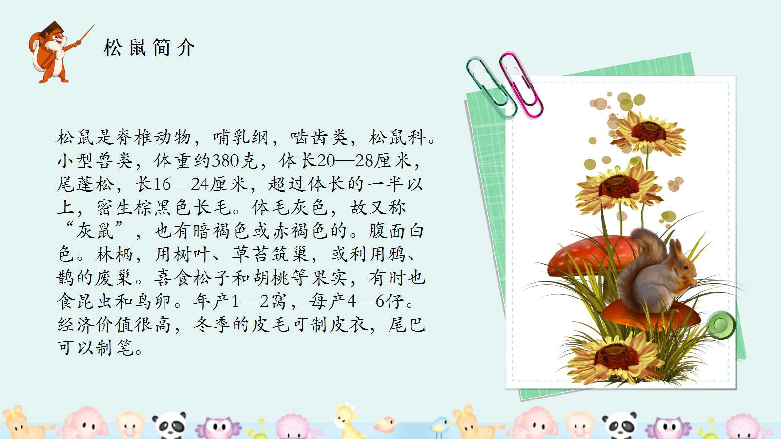 小学人教版语文五年级松鼠ppt课件