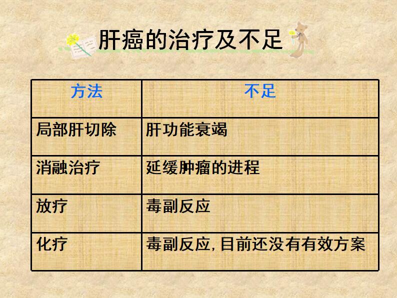 简约清新时尚胚胎干细胞学术研究答辩PPT模板
