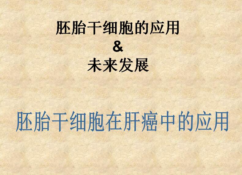 简约清新时尚胚胎干细胞学术研究答辩PPT模板