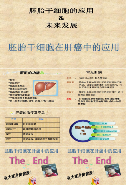 简约清新时尚胚胎干细胞学术研究答辩PPT模板