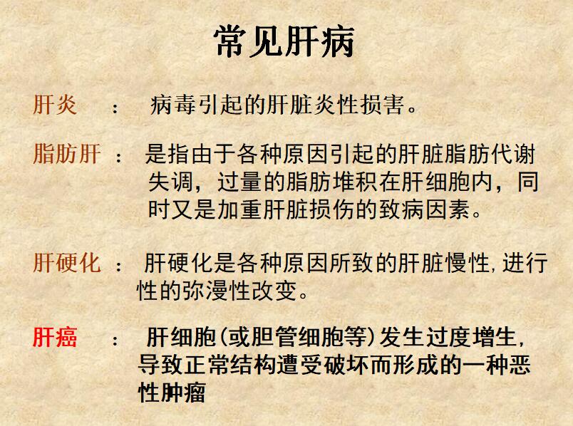 简约清新时尚胚胎干细胞学术研究答辩PPT模板