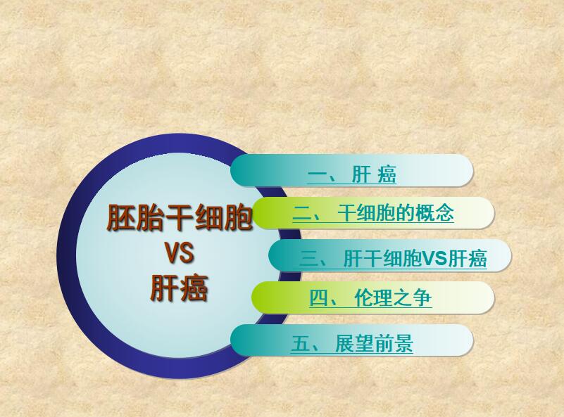简约清新时尚胚胎干细胞学术研究答辩PPT模板