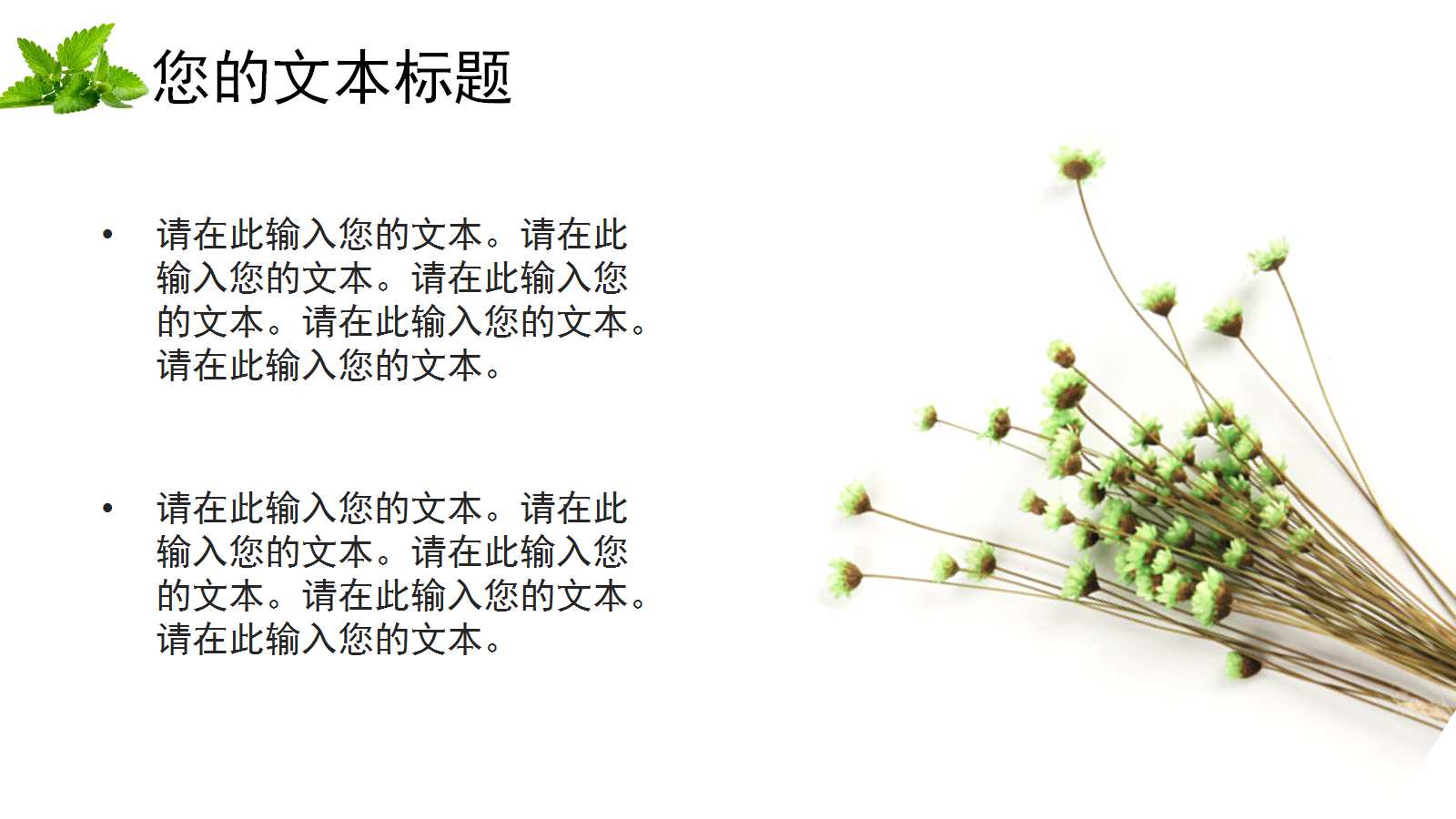 绿色精致花朵小学教学公开课ppt模板