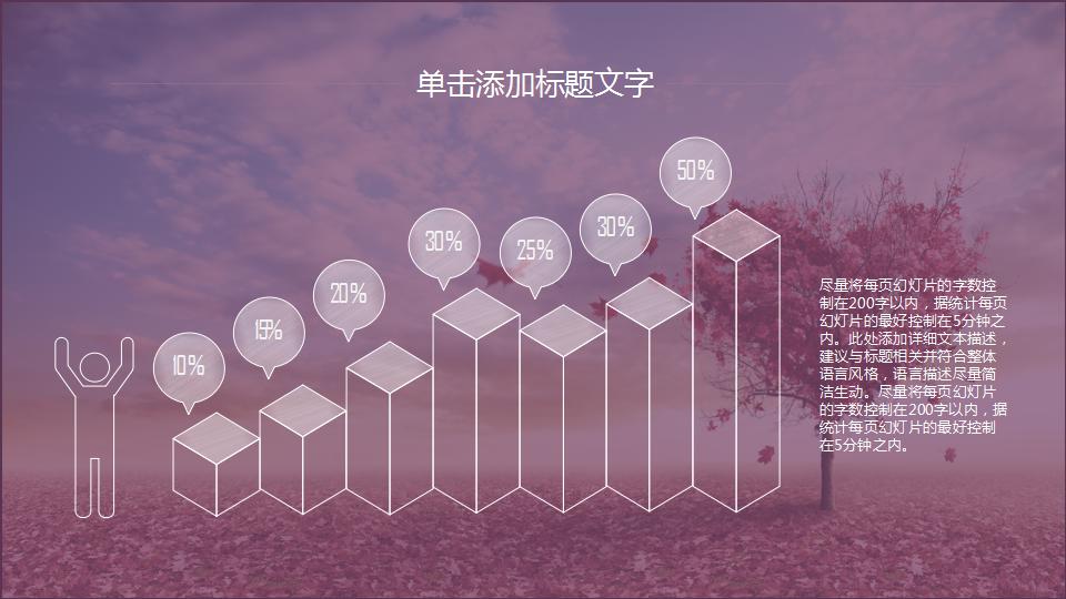 唯美文艺个人工作计划ppt模板