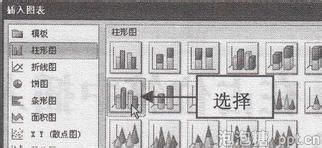 如何在占位符中插入图表