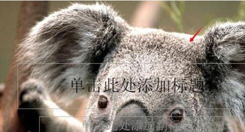 1511761293799492.jpg QQ截图20171127134034.jpg