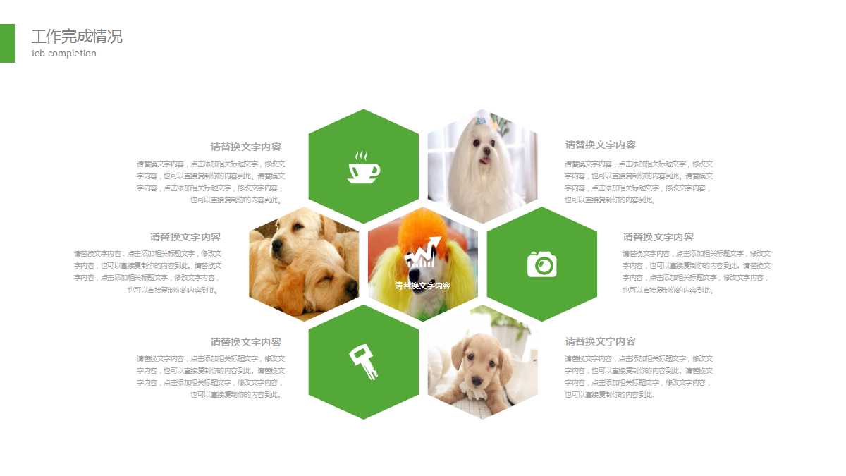 清新精美宠物美容动态ppt模板