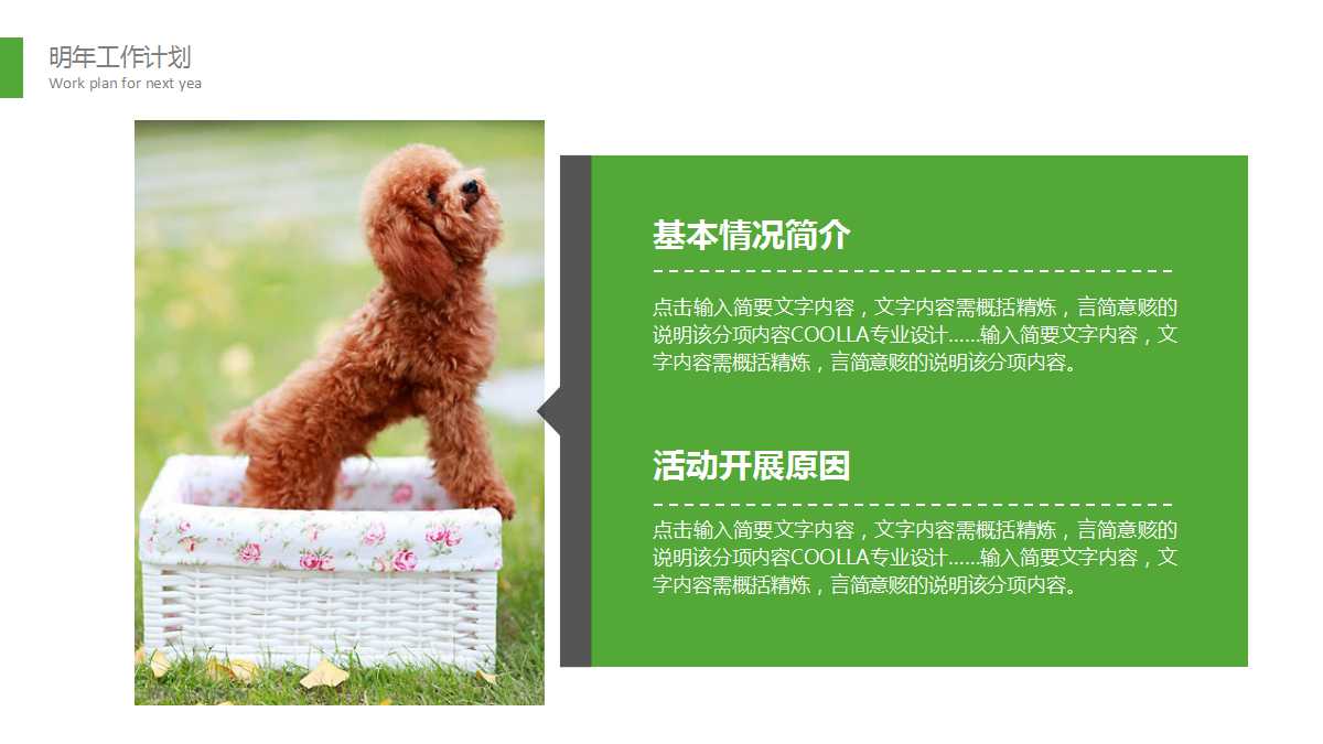 清新精美宠物美容动态ppt模板