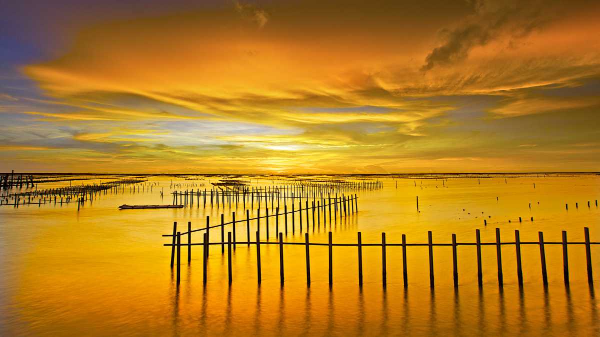 黄黑色创意简约商务ppt模板