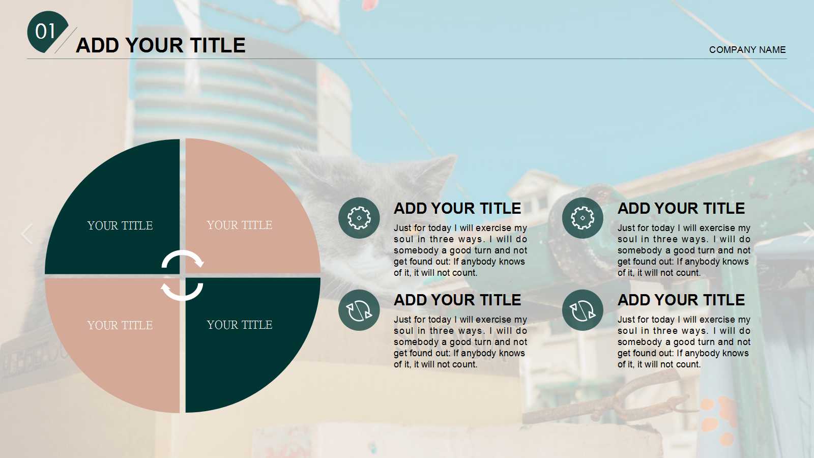 创意精致宠物美容行业ppt模板