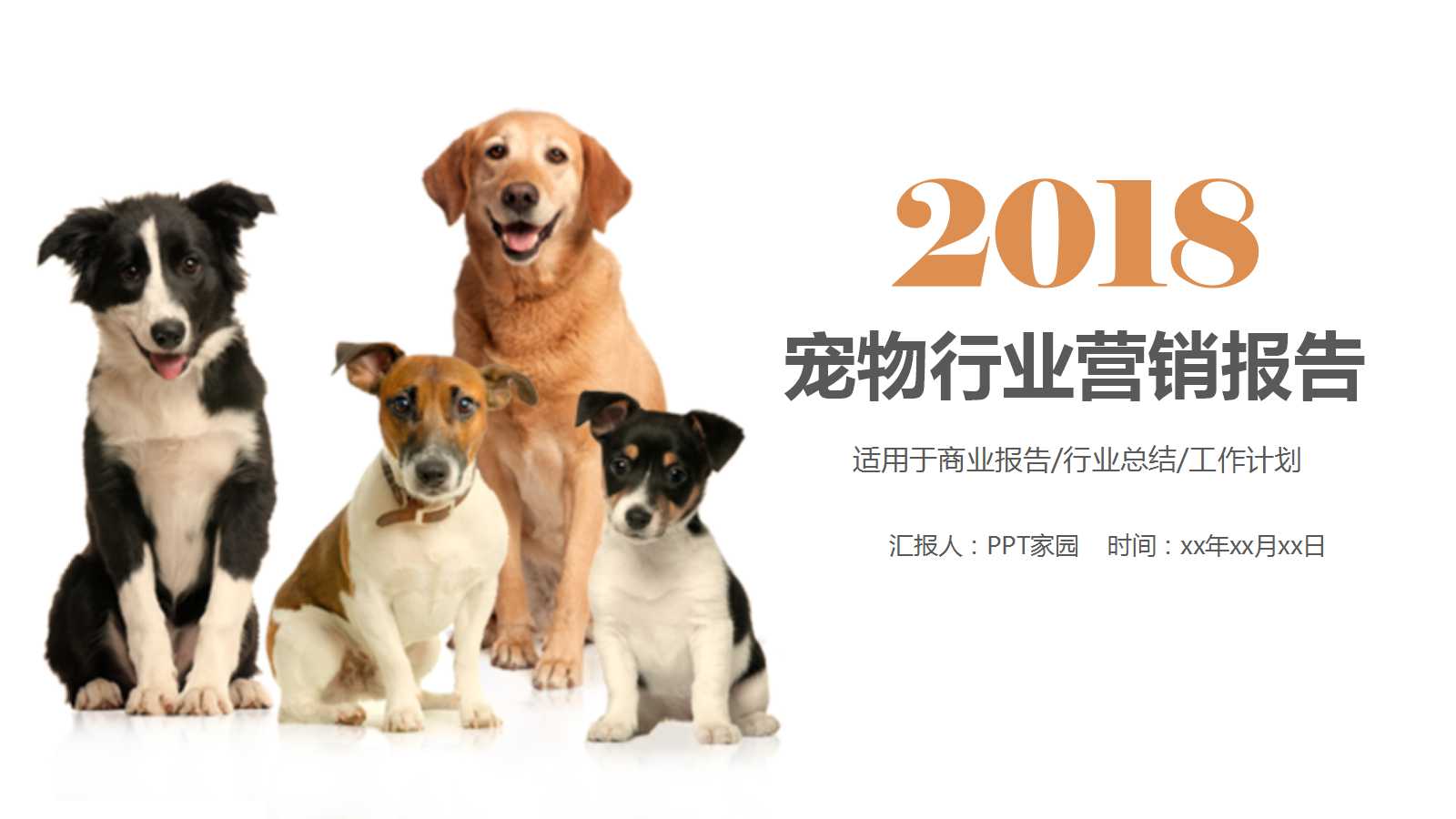 精美时尚简约宠物营销ppt模板