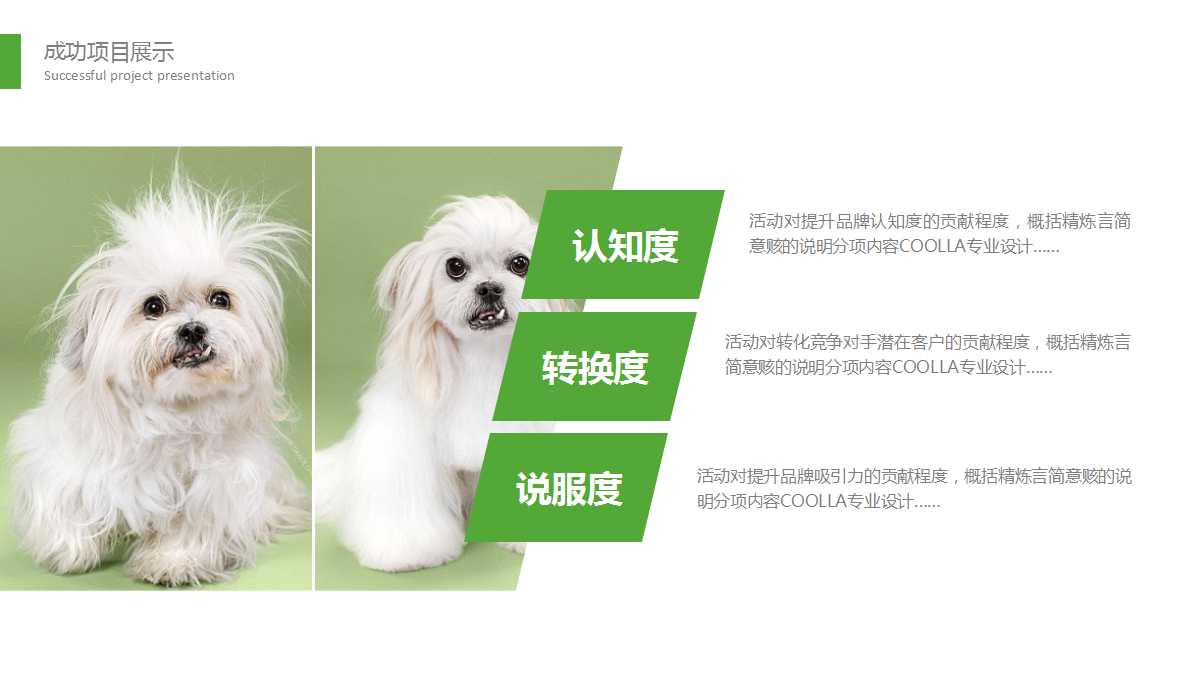 清新精美宠物美容动态ppt模板