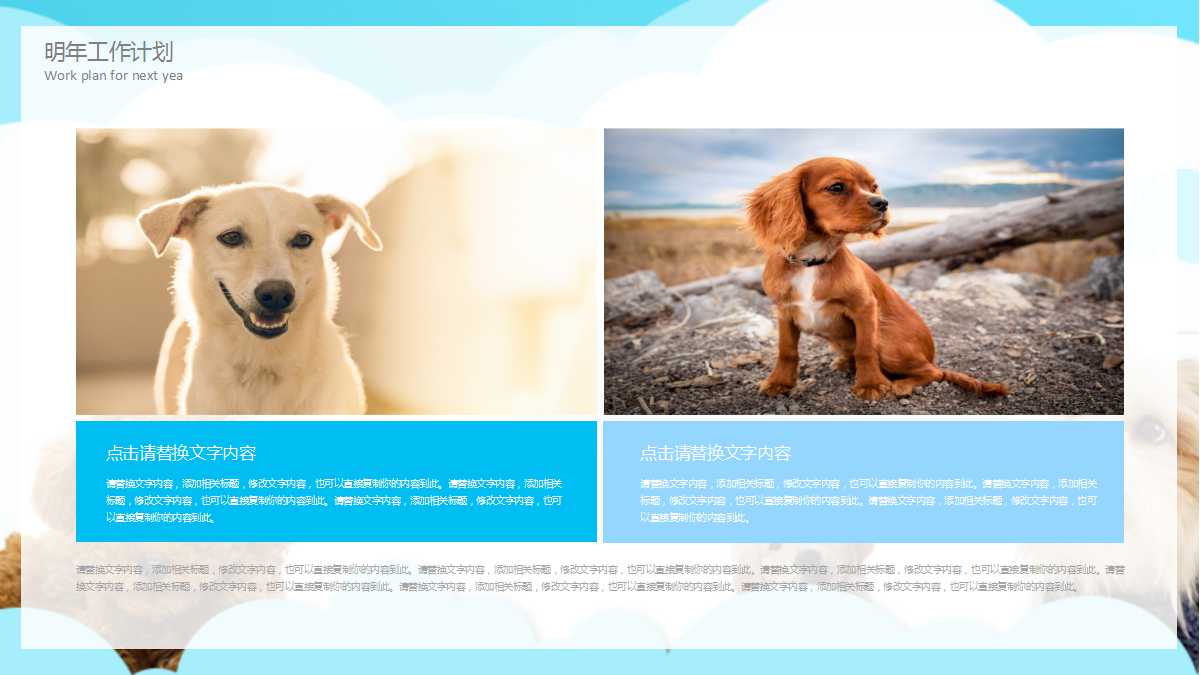 精美简约宠物美容行业ppt模板