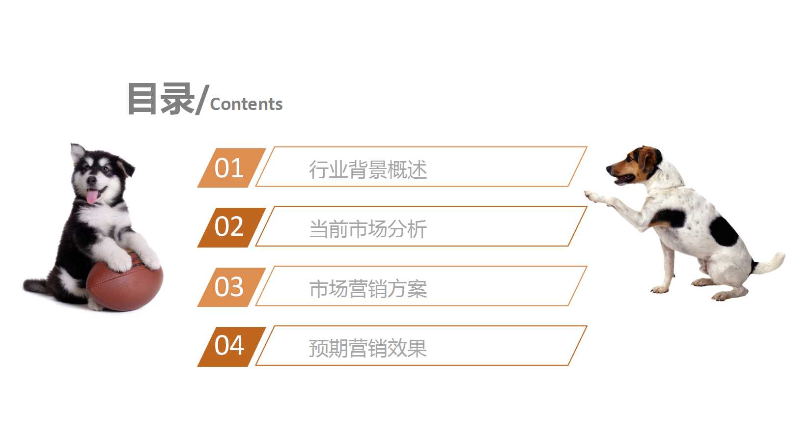 精美时尚简约宠物营销ppt模板