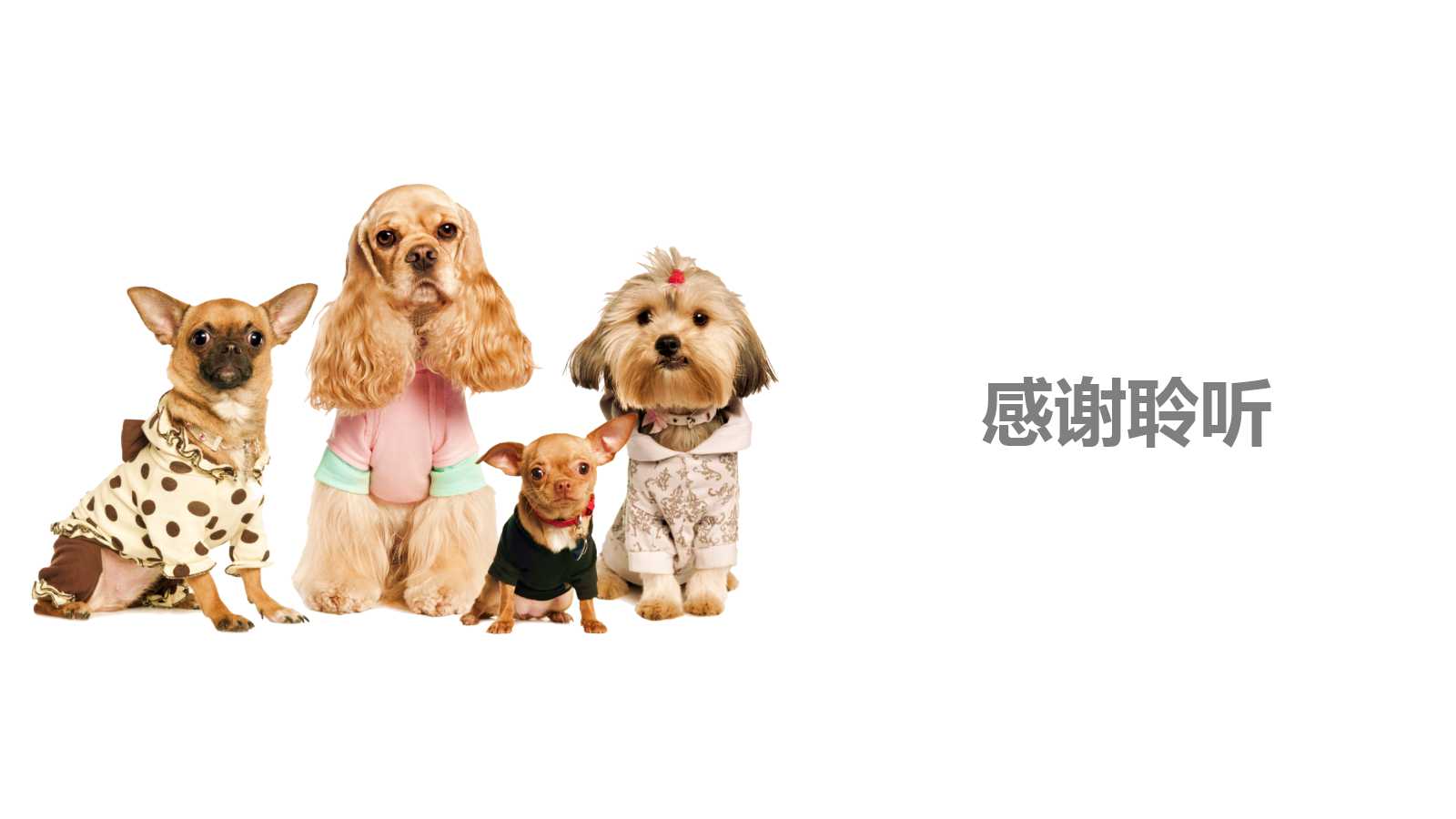 精美时尚简约宠物营销ppt模板