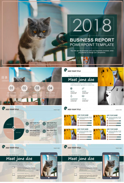 创意精致宠物美容行业ppt模板