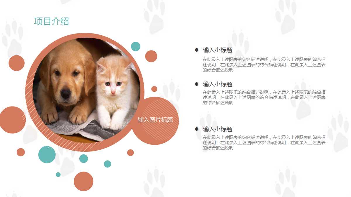 精美可爱卡通宠物行业动态ppt模板