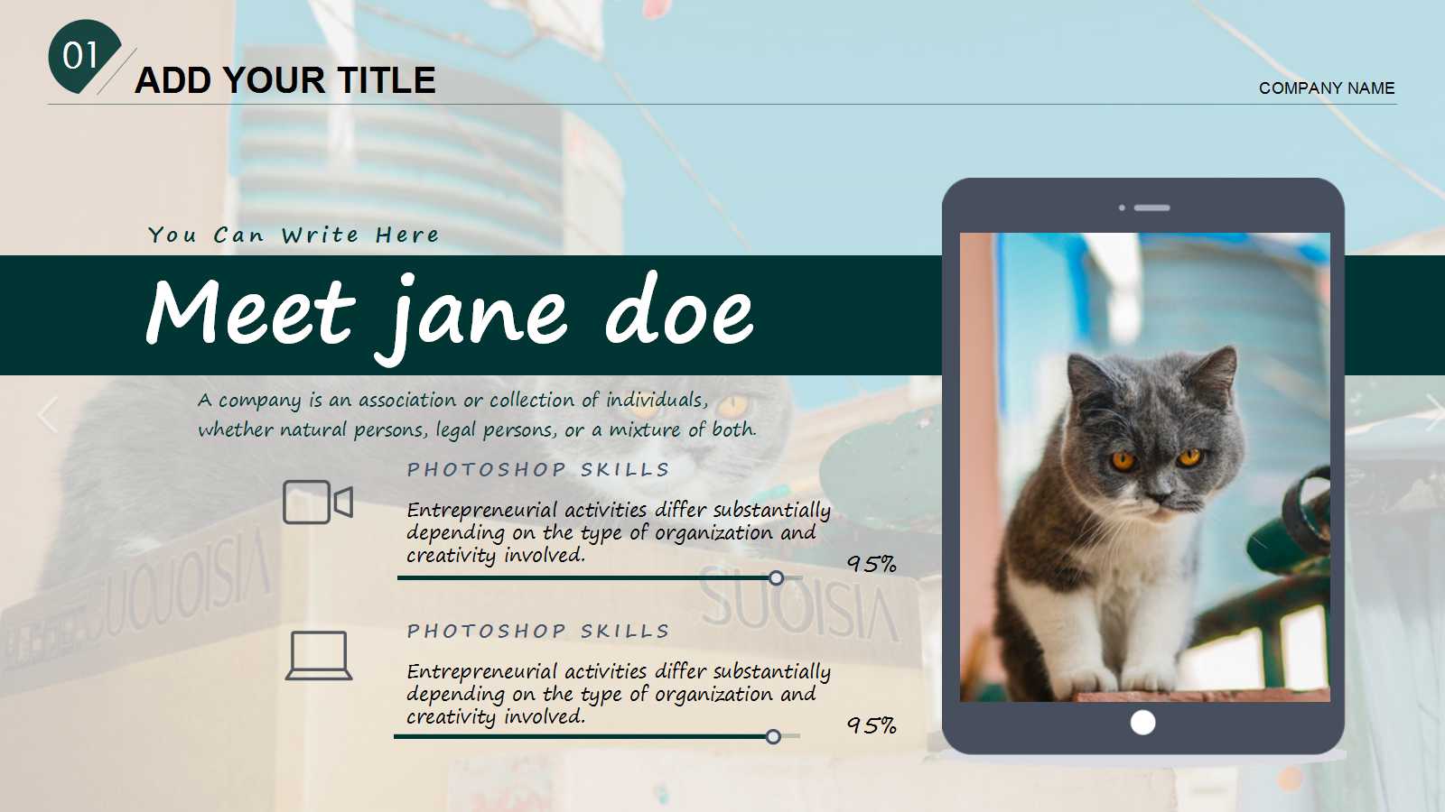 创意精致宠物美容行业ppt模板