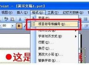PPT如何添加修改项目符号和编号