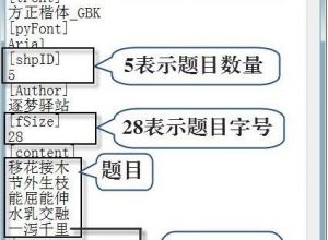 如何用PPT做连线题