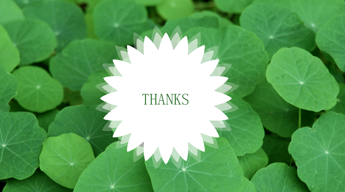 清爽简洁工作报告ppt模板