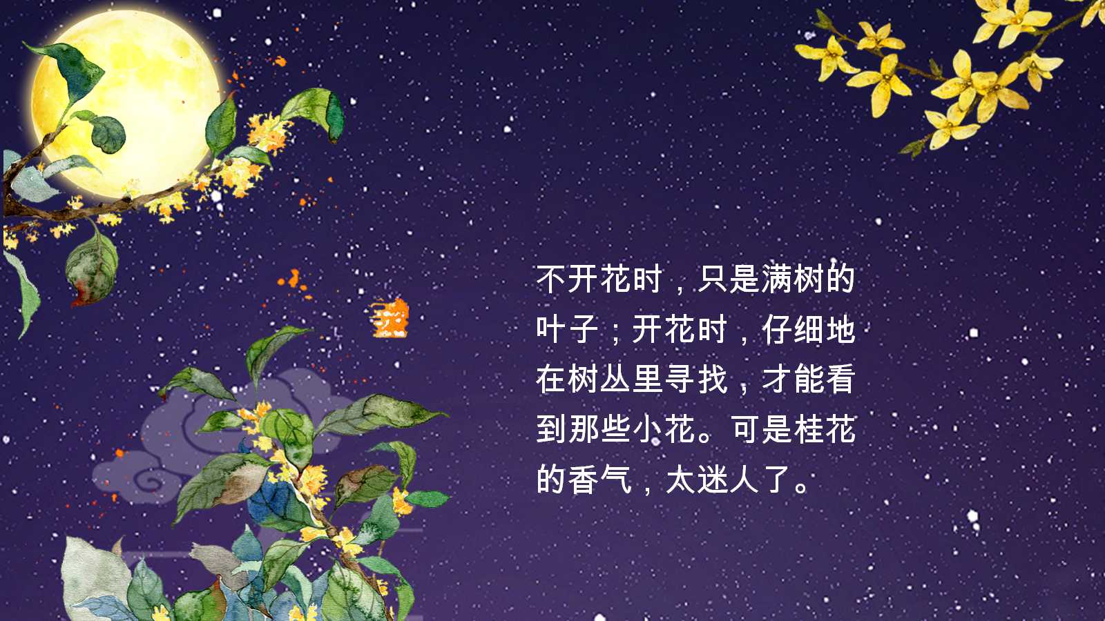 桂花雨ppt课件完美版