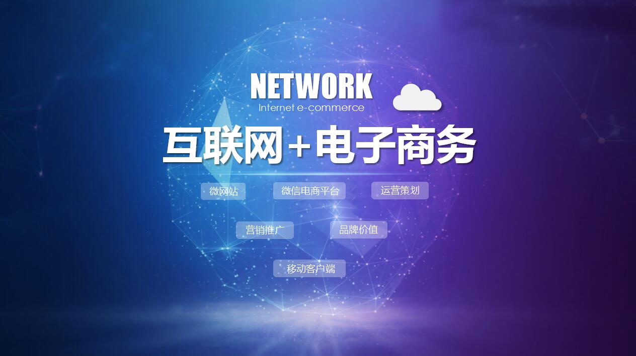 互联网科技电商案例商业计划书ppt模板