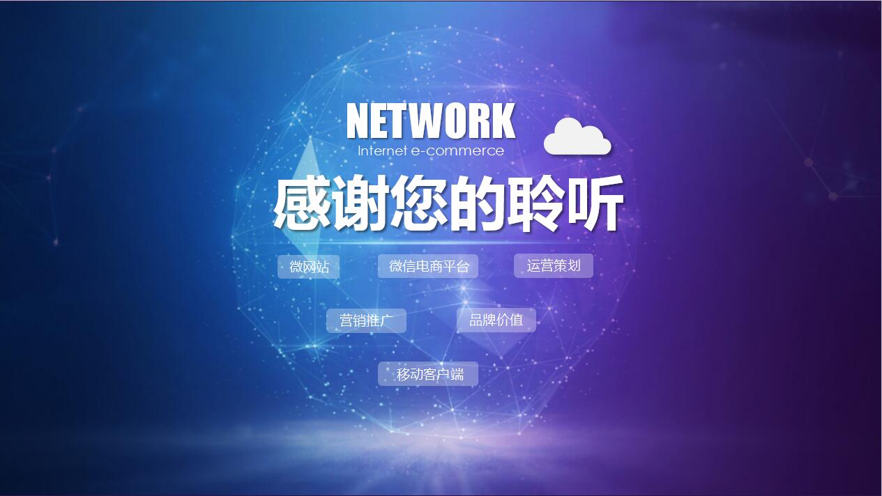 互联网科技电商案例商业计划书ppt模板