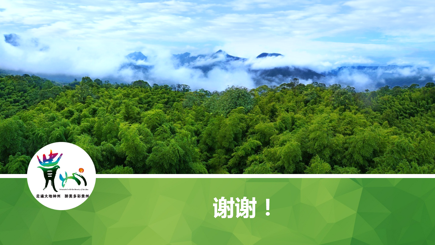 生态旅游ppt模板_绿色唯美