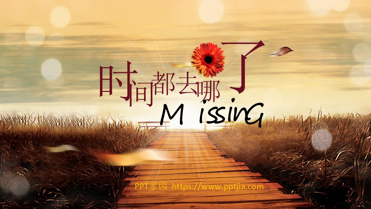 怀旧复古电子相册同学聚会PPT模板